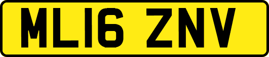 ML16ZNV