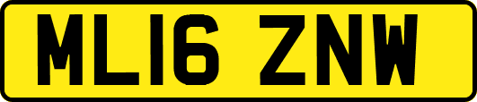 ML16ZNW