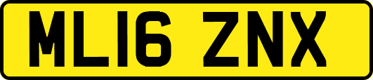 ML16ZNX