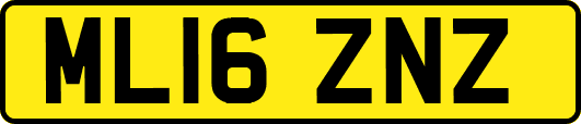 ML16ZNZ