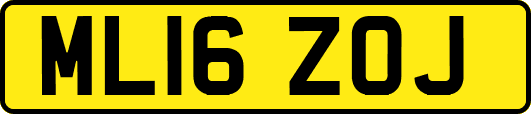 ML16ZOJ