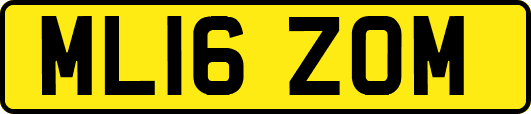 ML16ZOM