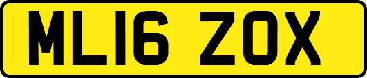 ML16ZOX