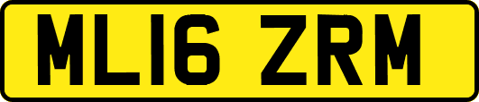 ML16ZRM
