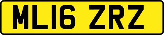 ML16ZRZ