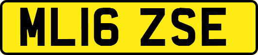 ML16ZSE