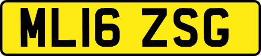 ML16ZSG
