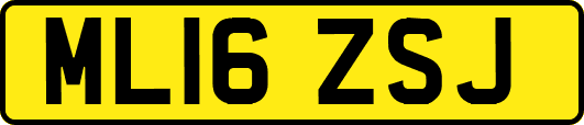 ML16ZSJ