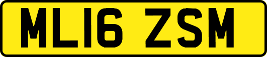 ML16ZSM