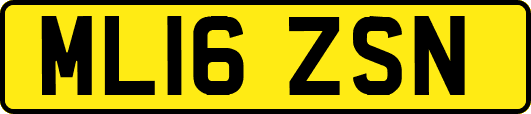 ML16ZSN