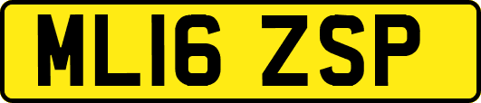 ML16ZSP