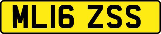 ML16ZSS