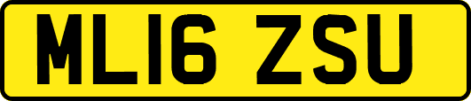 ML16ZSU