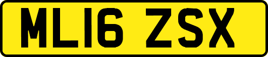 ML16ZSX