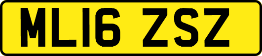ML16ZSZ