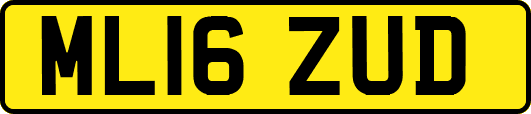 ML16ZUD