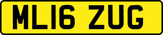 ML16ZUG