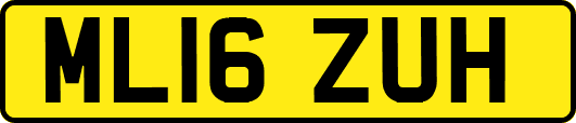 ML16ZUH