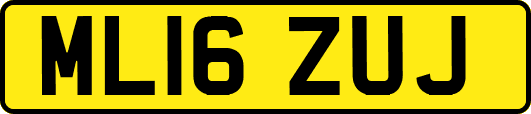 ML16ZUJ