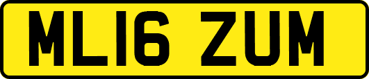 ML16ZUM