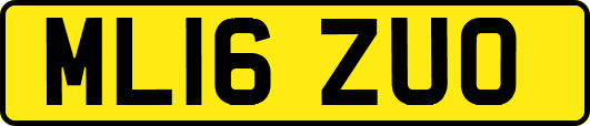 ML16ZUO