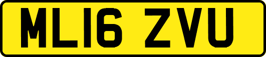 ML16ZVU