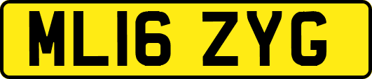 ML16ZYG
