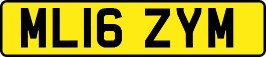 ML16ZYM