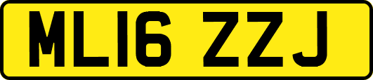 ML16ZZJ