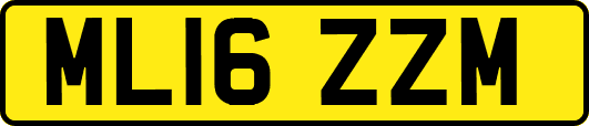 ML16ZZM