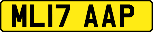 ML17AAP