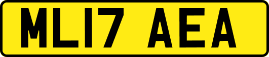 ML17AEA