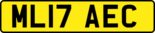 ML17AEC