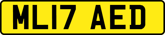 ML17AED