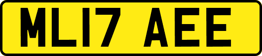 ML17AEE