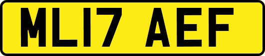 ML17AEF