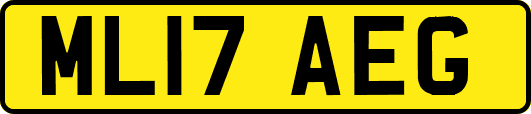ML17AEG