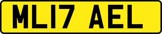 ML17AEL