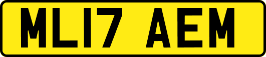 ML17AEM