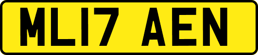 ML17AEN
