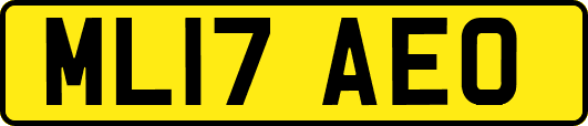 ML17AEO