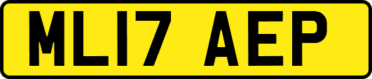 ML17AEP