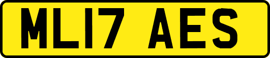ML17AES