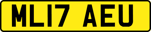 ML17AEU