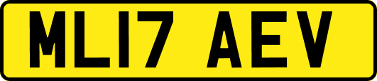 ML17AEV