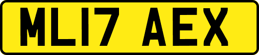 ML17AEX