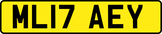 ML17AEY