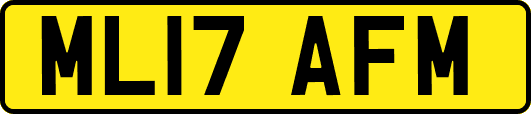 ML17AFM