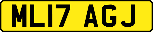 ML17AGJ