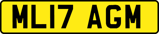 ML17AGM
